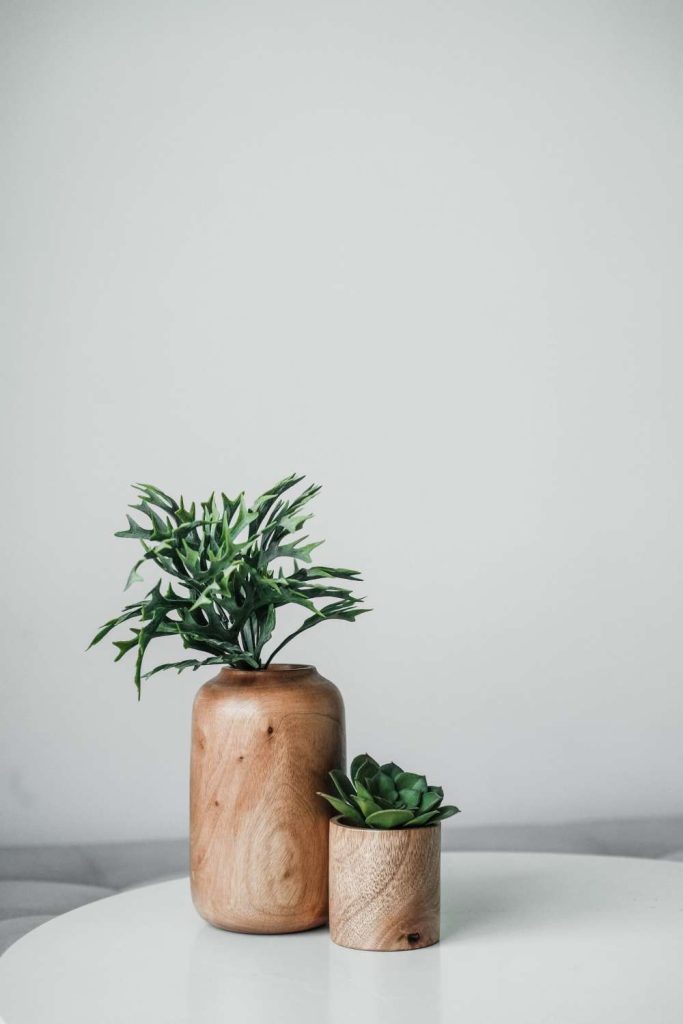 Vương Khánh Điền Tân